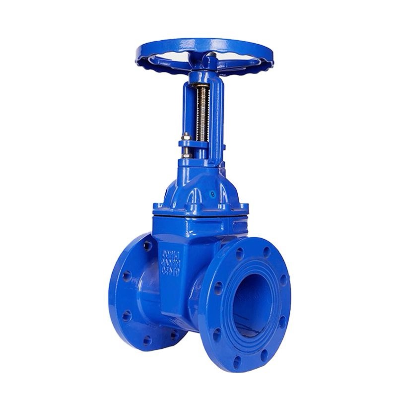 Resilient Seated Gate Valve